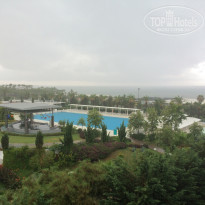 фото из отзыва ID 1778118