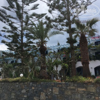 фото из отзыва ID 1778178