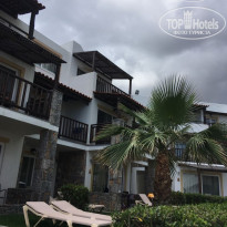 фото из отзыва ID 1778184