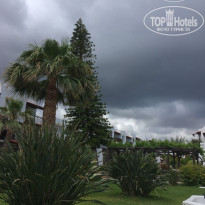 фото из отзыва ID 1778184