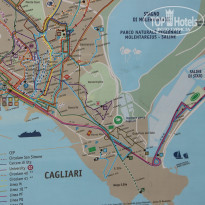 фото из отзыва ID 1778251