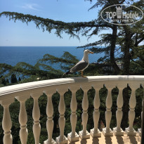 фото из отзыва ID 1778326