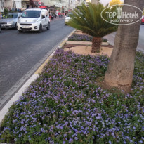 фото из отзыва ID 1778344