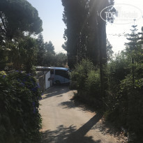 фото из отзыва ID 1778409