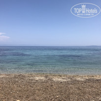 фото из отзыва ID 1778409