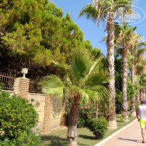 фото из отзыва ID 1778477