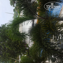 фото из отзыва ID 1778493