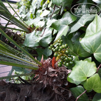 фото из отзыва ID 1778598