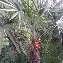 фото из отзыва ID 1778598