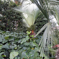 фото из отзыва ID 1778598