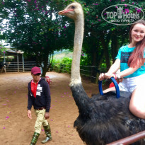 фото из отзыва ID 1778647