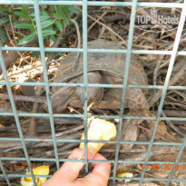 фото из отзыва ID 1778667