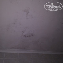 фото из отзыва ID 1777758