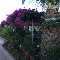 фото из отзыва ID 1778871