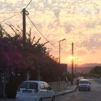 фото из отзыва ID 1778902