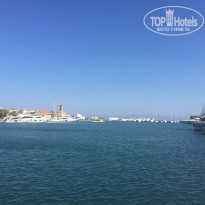 фото из отзыва ID 1778902