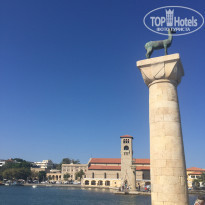 фото из отзыва ID 1778902