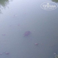 фото из отзыва ID 1778921