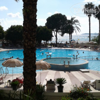 фото из отзыва ID 1778998