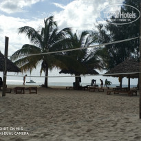 фото из отзыва ID 1779082