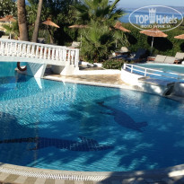 фото из отзыва ID 1779168