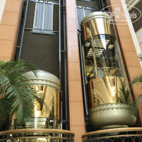 фото из отзыва ID 1779196