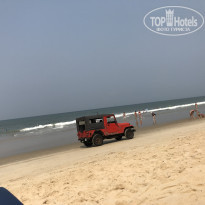 фото из отзыва ID 1778541