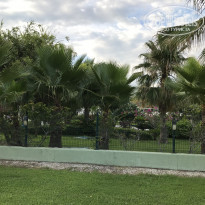 фото из отзыва ID 1779240