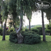 фото из отзыва ID 1779240