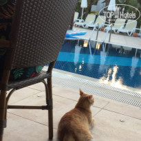 фото из отзыва ID 1779363