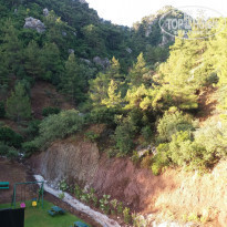 фото из отзыва ID 1779392