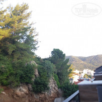 фото из отзыва ID 1779392