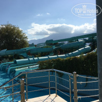 фото из отзыва ID 1779451