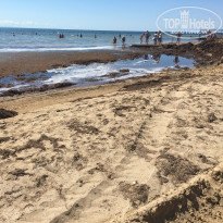 фото из отзыва ID 1779480