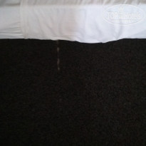 фото из отзыва ID 1779608