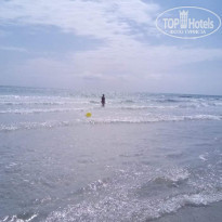 фото из отзыва ID 1779896