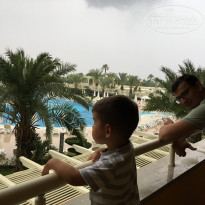 фото из отзыва ID 1779972