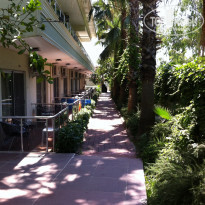 фото из отзыва ID 1779961