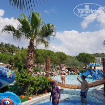 фото из отзыва ID 1776463