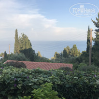 фото из отзыва ID 1778409