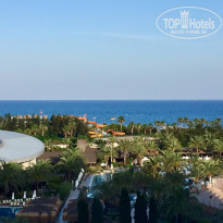 фото из отзыва ID 1776639