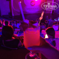 фото из отзыва ID 1776639