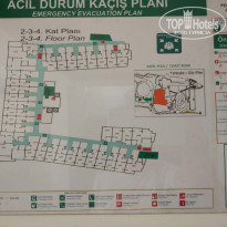 фото из отзыва ID 1775520