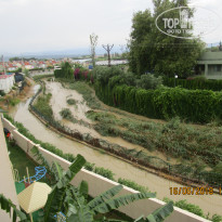 фото из отзыва ID 1771608