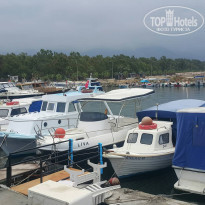 фото из отзыва ID 1774947