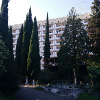 фото из отзыва ID 1779706