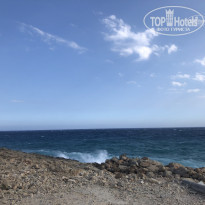 фото из отзыва ID 1772304