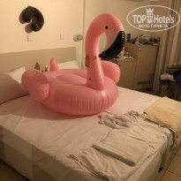 фото из отзыва ID 1772304