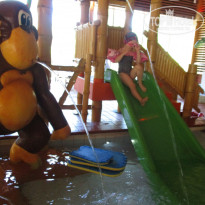 фото из отзыва ID 1775746