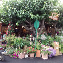 фото из отзыва ID 1772269